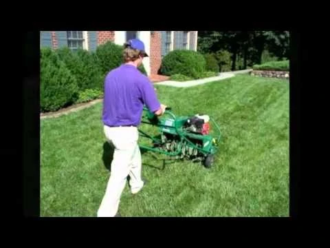 Trusted Property Care and Seasonal Cleanup in Calgary