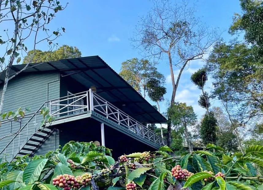 Machaan Wilderness Lodge, Nagarahole: A Perfect Escape into the Wild