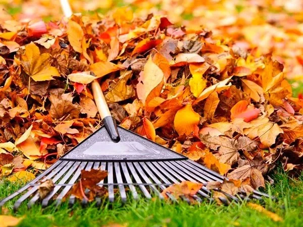 Expert Solutions for Stunning Outdoor Environments