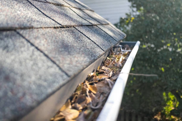 Expert Gutter Cleaning Services in Florida — Paps Exterior Cleaning, LLC