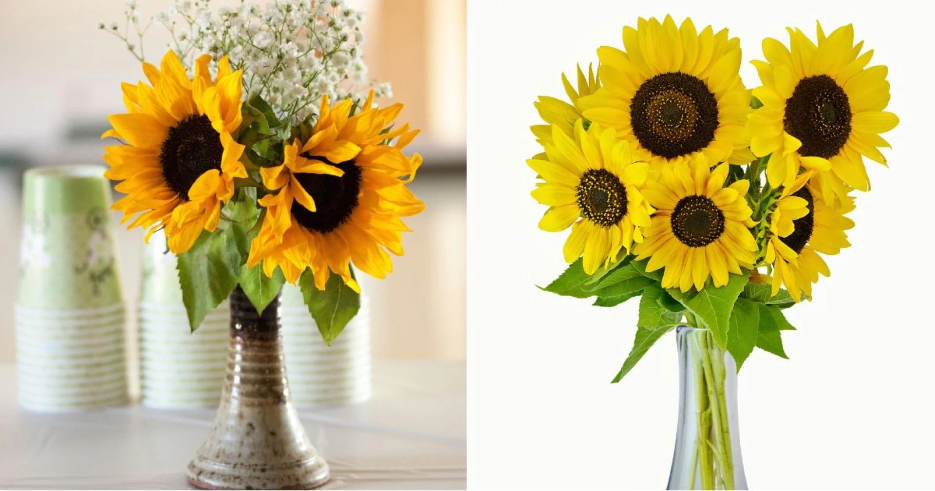 7 Reasons a Sunflower Bouquet Brightens Every Occasion