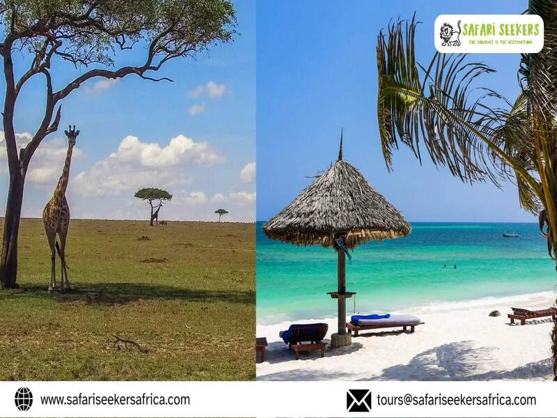 Discover East Africa Safari & Coast: Wildlife, Photography, and Coastal Bliss