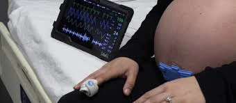 Wearable Pregnancy Devices Market Insights: Expanding Applications of AI in Smart Maternity Care Devices