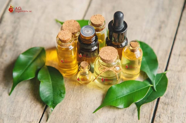 A Step-by-Step Guide to Sourcing Essential Oils from AG Organica