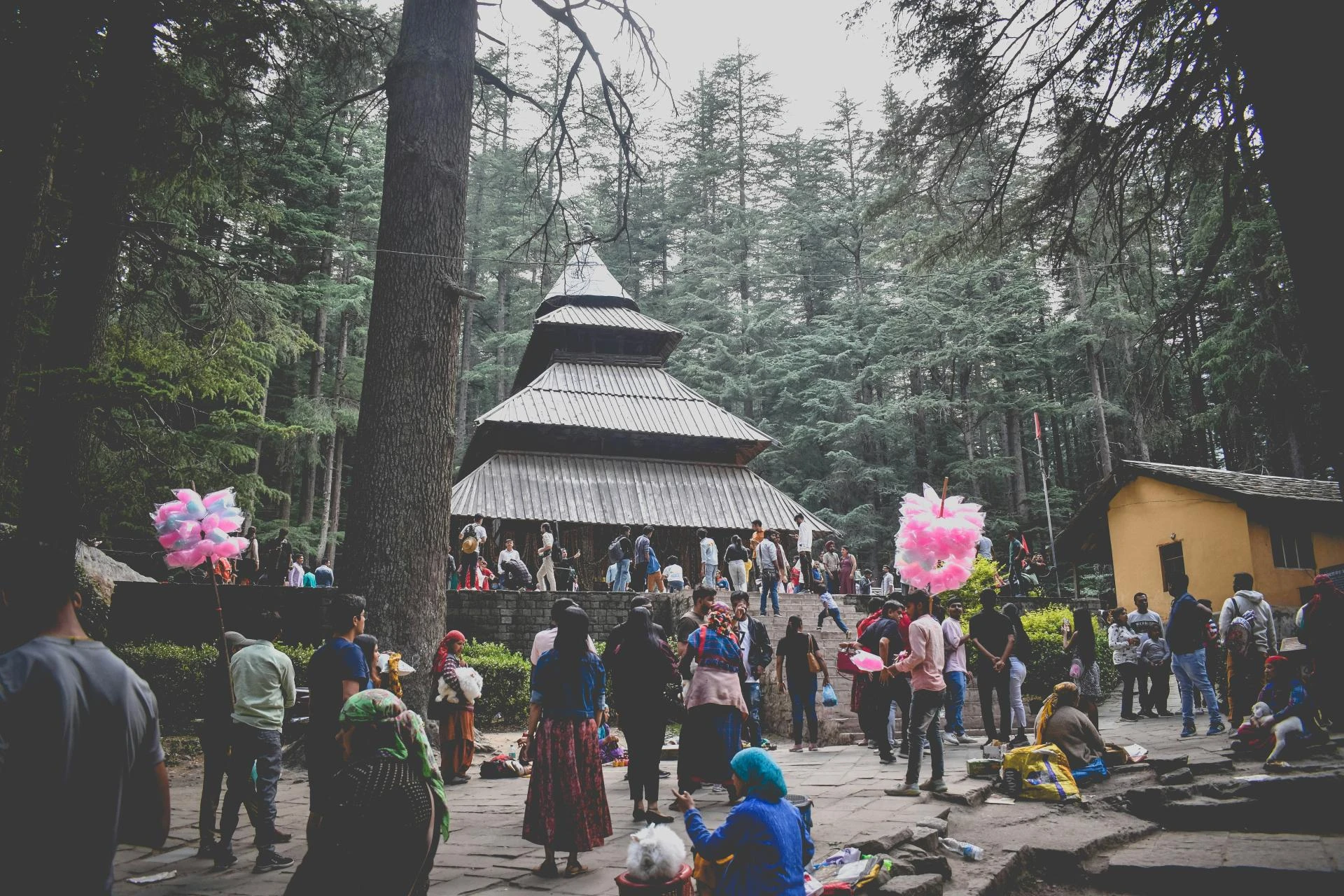 Nature, Culture & Adventure: Kullu-Manali for the Whole Family