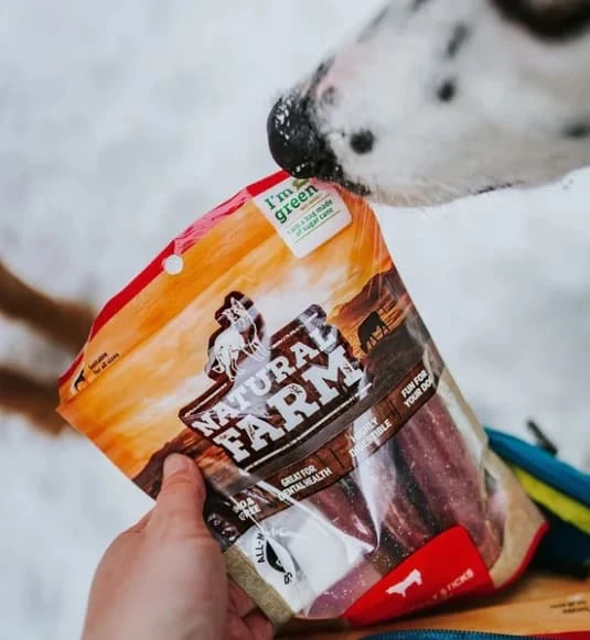 Why Choosing Organic Pet Supplies Is the Best Decision for Your Pet’s Health