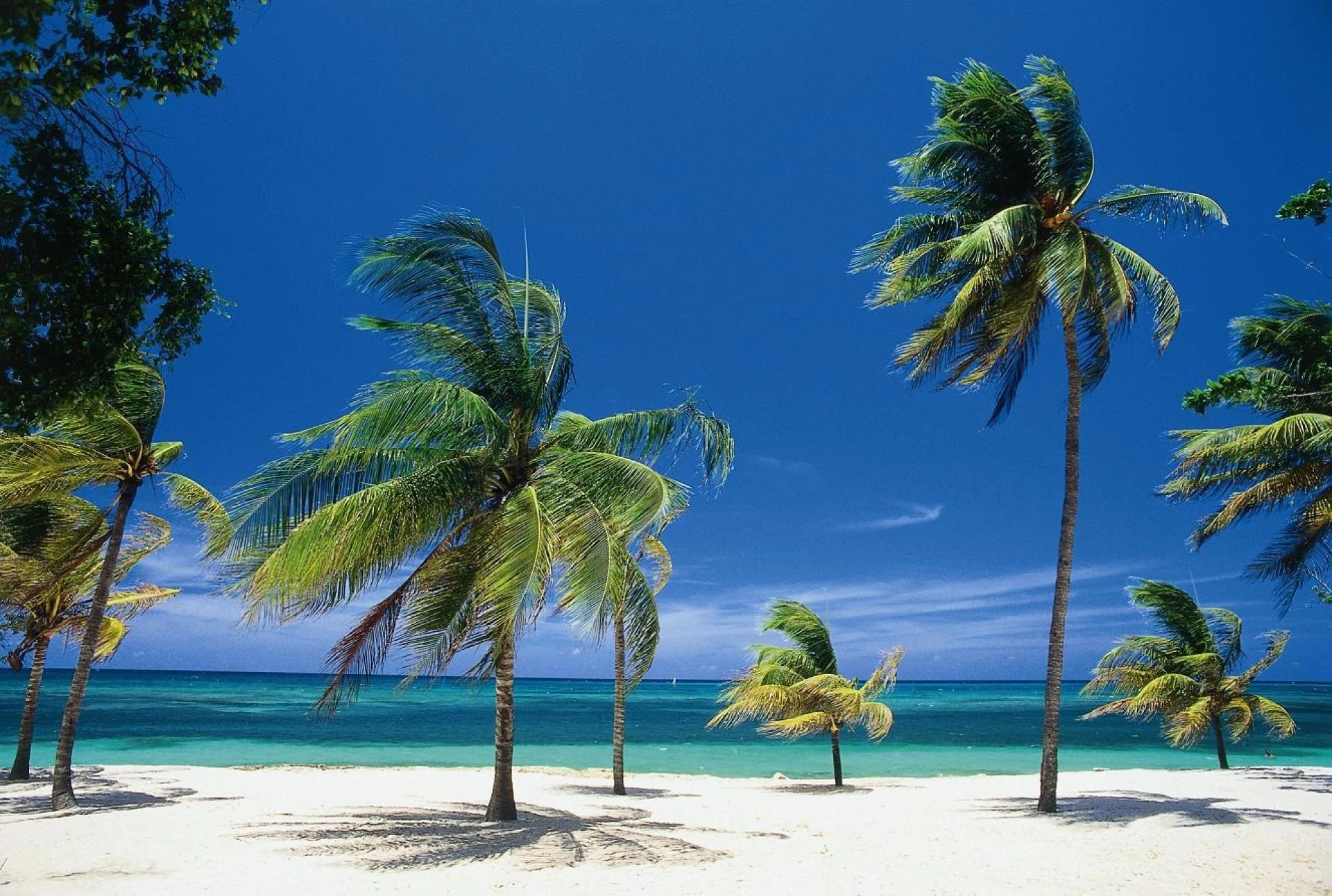 Cuba ETA for Business Visitors: Simplifying Meetings & Events