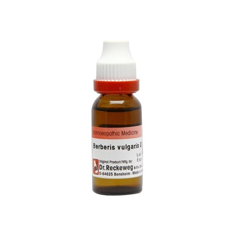 Top 7 Benefits of Ayurvedic Medicine You Should Know About