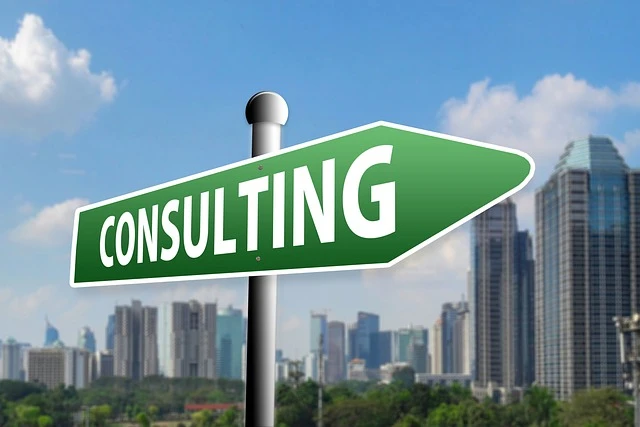 Business Consulting Services for Sustainable Growth.