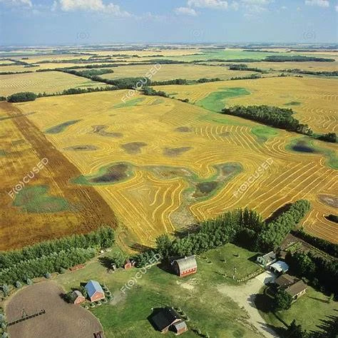 Local Expertise Meets Global Reach in Saskatchewan
