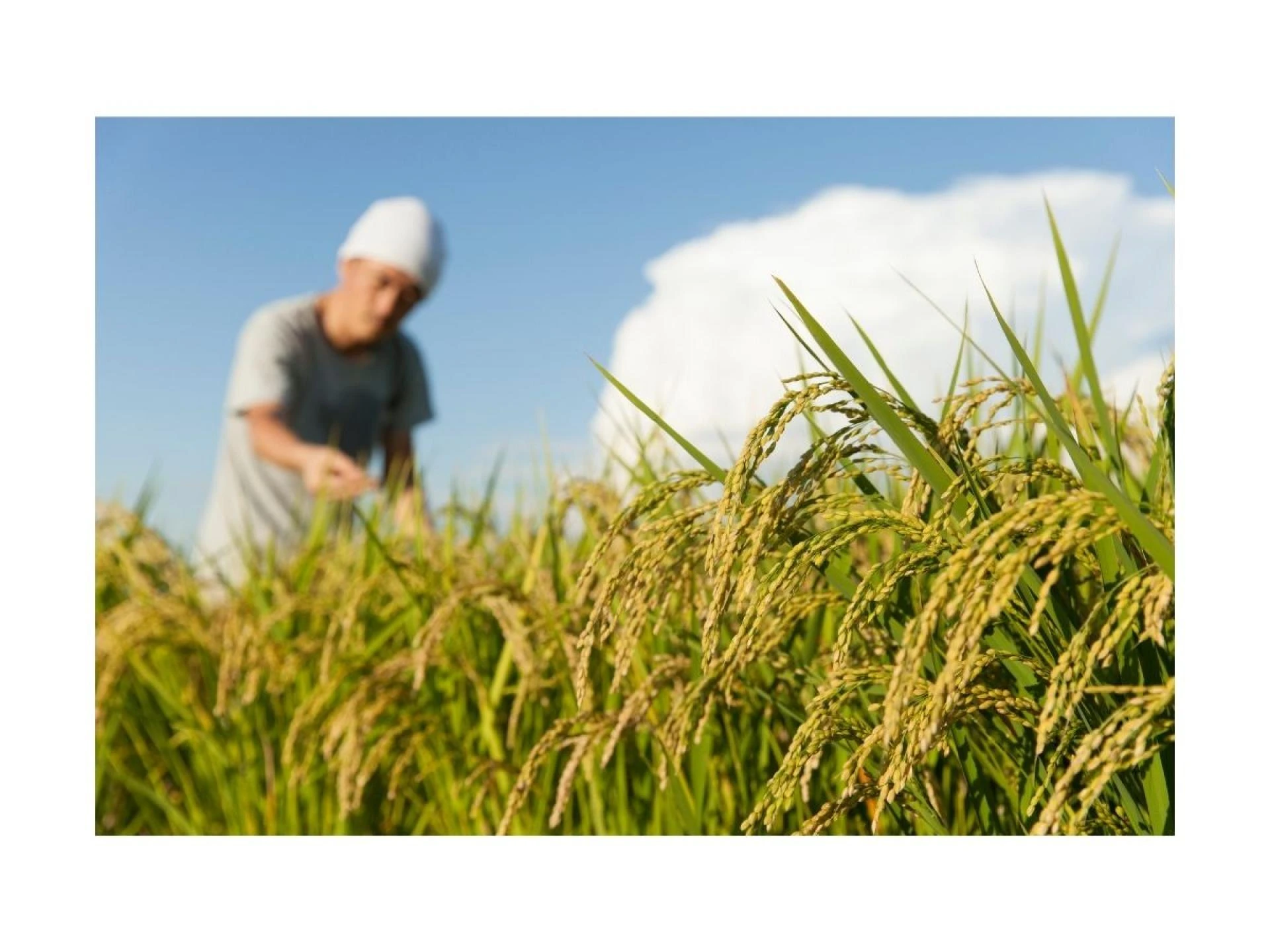 Local Expertise Meets Global Reach in Saskatchewan