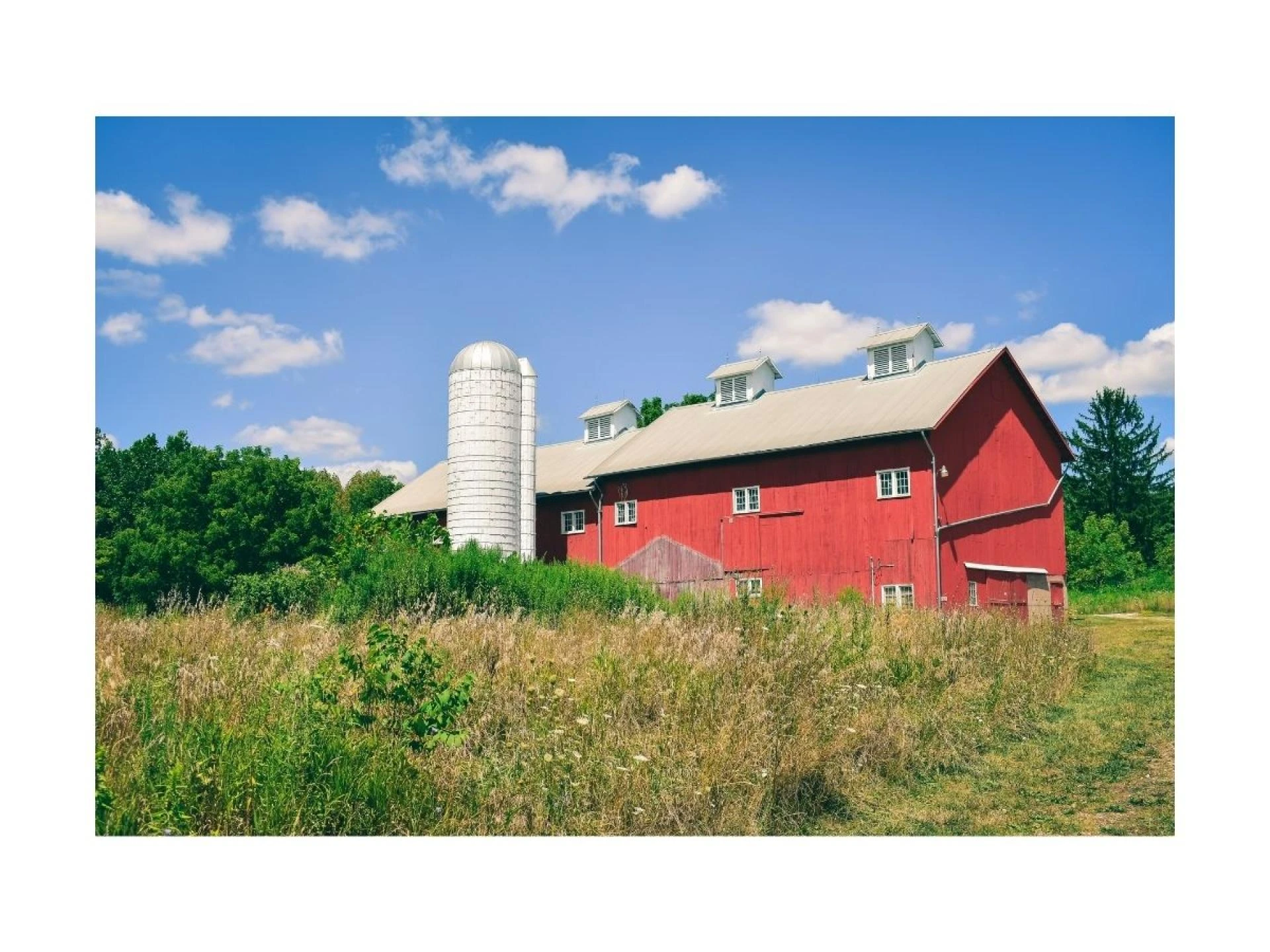 Local Expertise Meets Global Reach in Saskatchewan