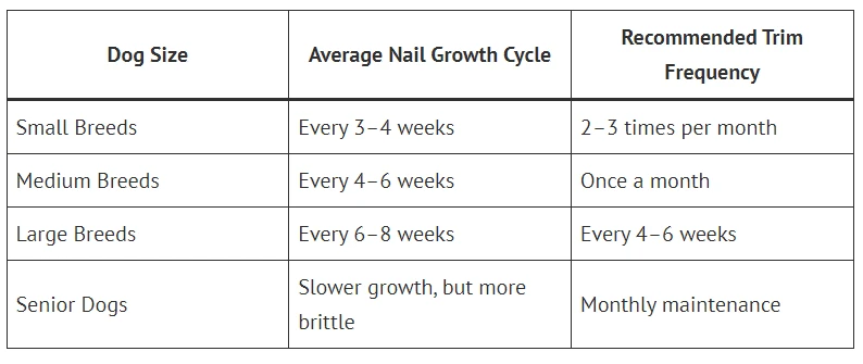 How Often Should You Schedule Dog Nail Trimming in Dunedin?