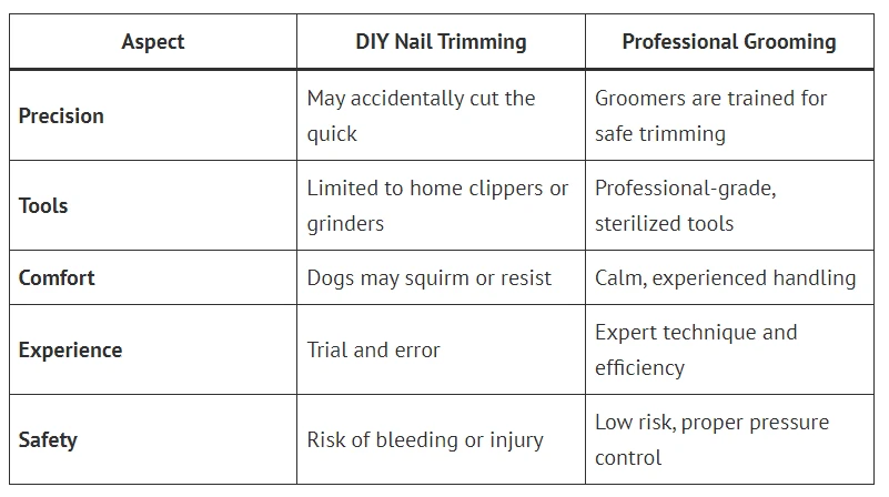 How Often Should You Schedule Dog Nail Trimming in Dunedin?