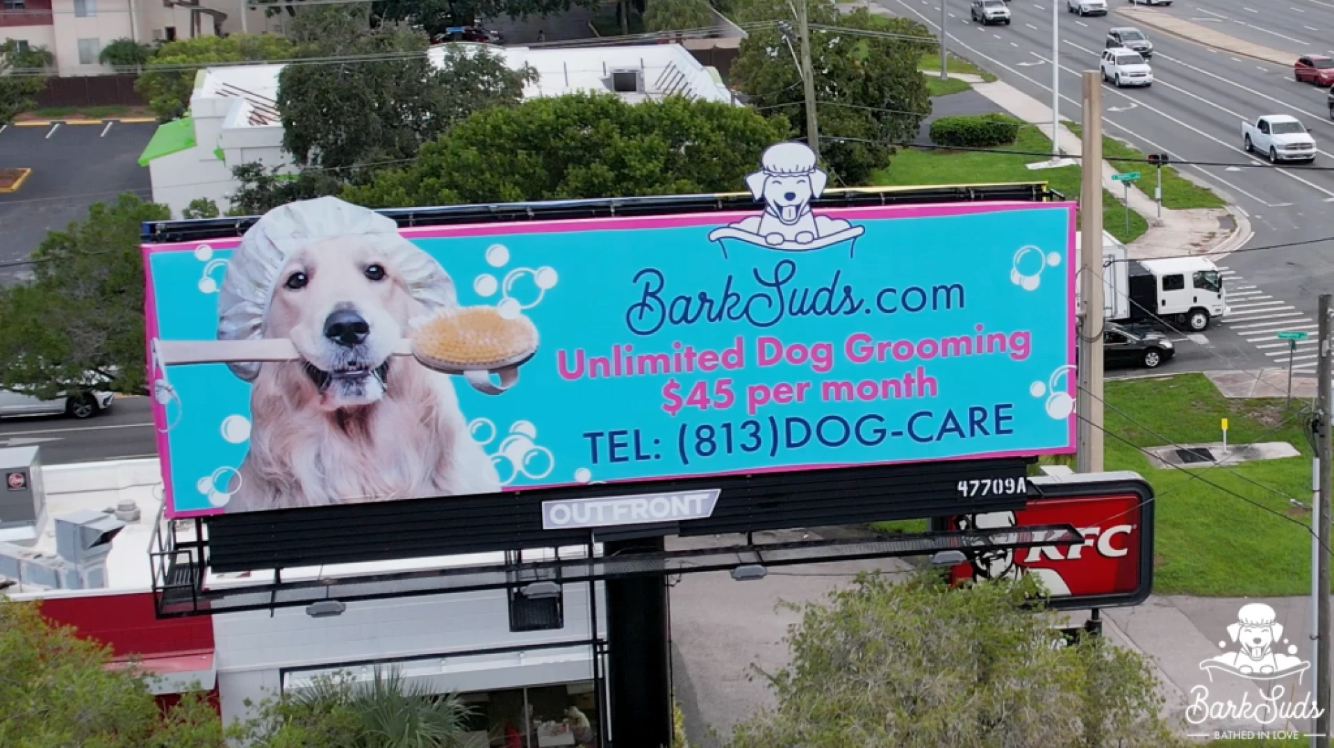 How Often Should You Schedule Dog Nail Trimming in Dunedin?