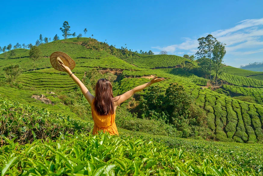 5 South India Road Trips You Can’t Miss This Year