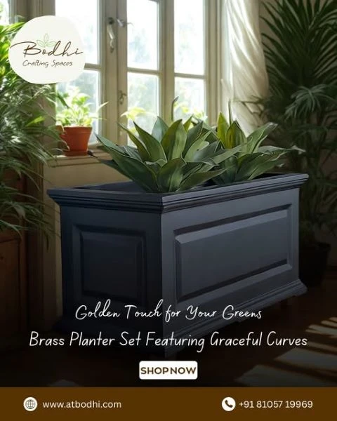 Bringing Nature Home - Why Cactus Planters Are Redefining Urban Décor in Bangalore - Atbodhi