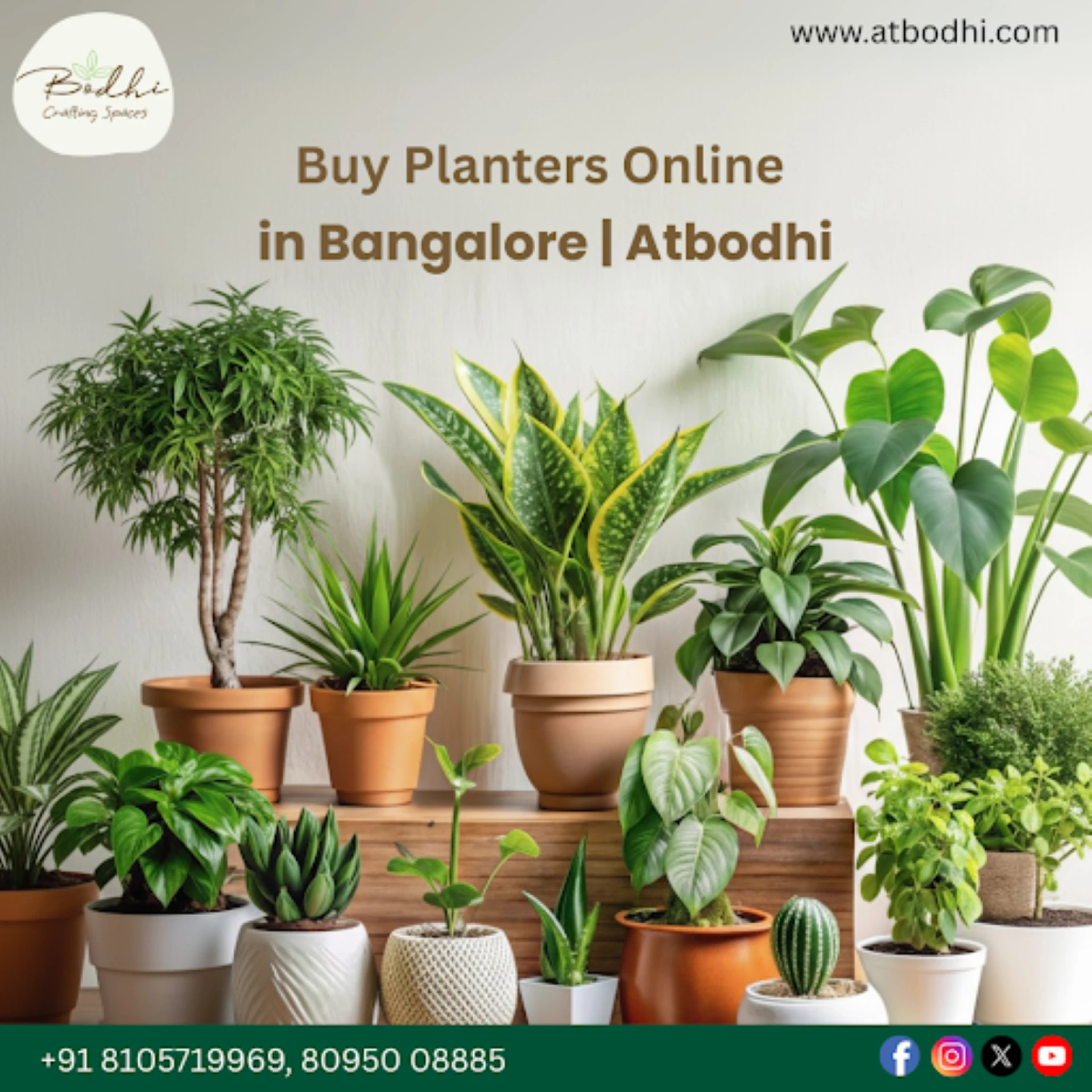 Bringing Nature Home - Why Cactus Planters Are Redefining Urban Décor in Bangalore - Atbodhi