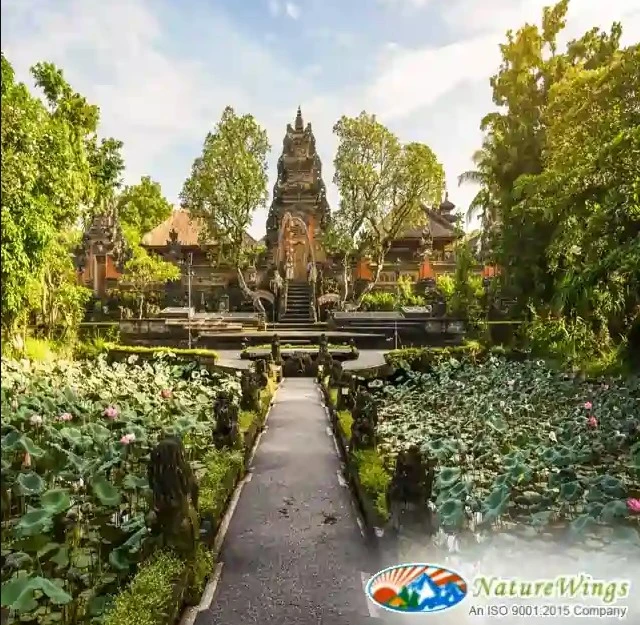 Family Adventures Await with Fun-Filled Bali Tour Packages from Kolkata