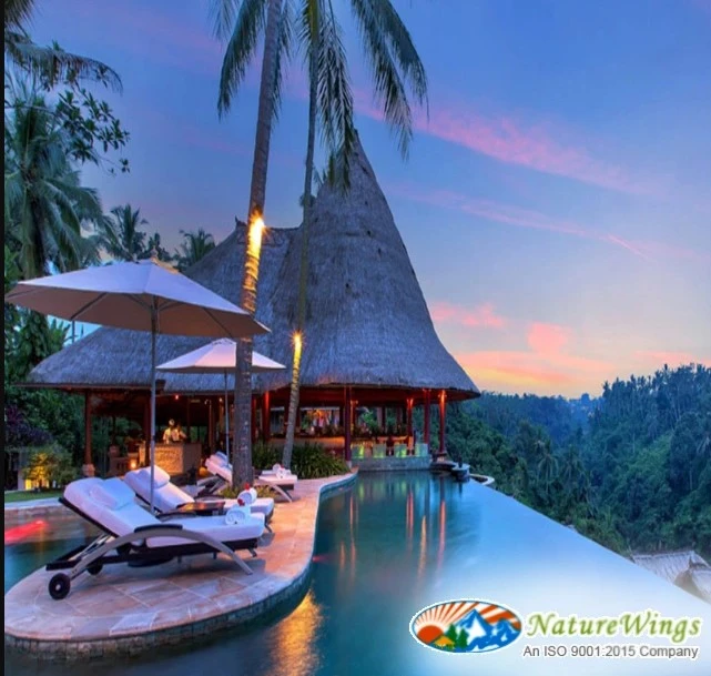 Family Adventures Await with Fun-Filled Bali Tour Packages from Kolkata