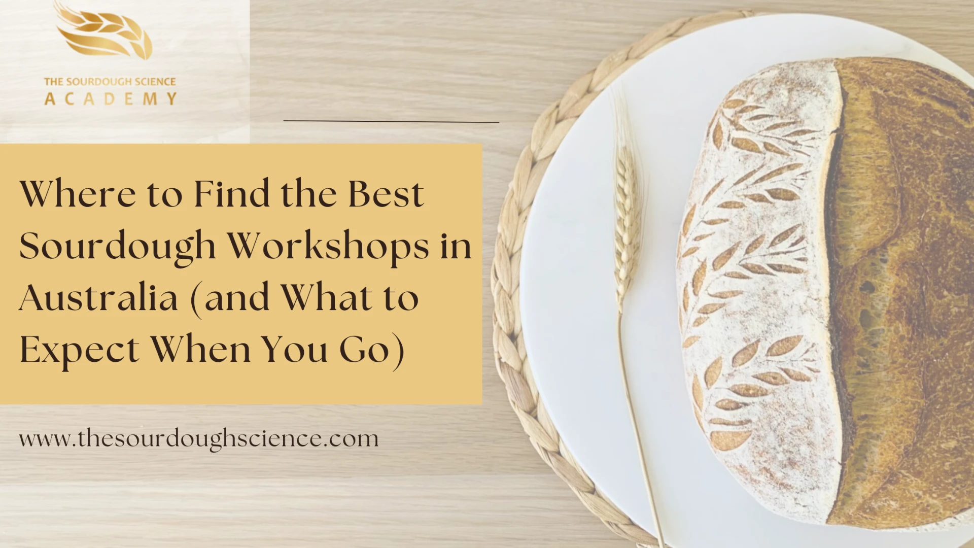 Where to Find the Best Sourdough Workshops in Australia (and What to Expect When You Go)