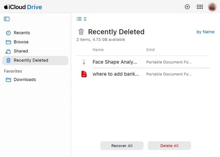 How to Recover Deleted Files from iCloud?