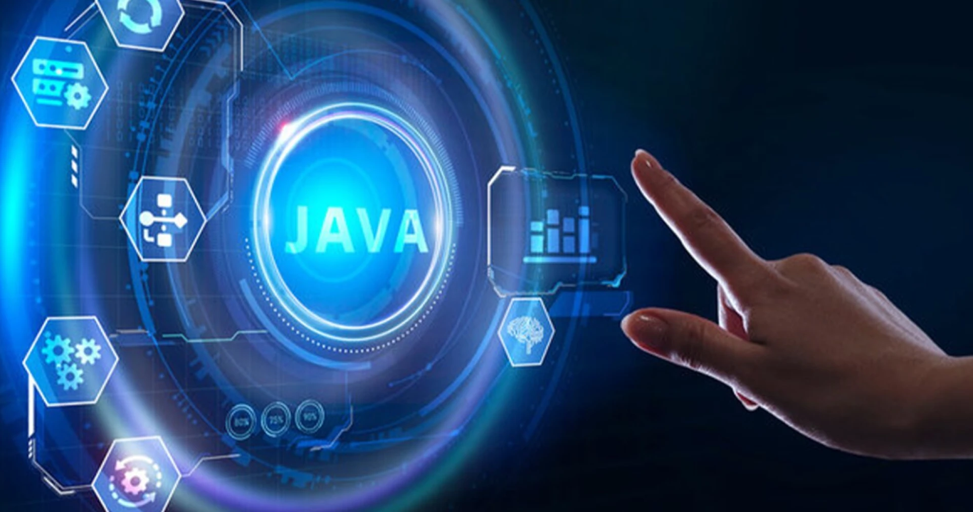 .NET and Java Software Development in Dublin by Rakshak Software