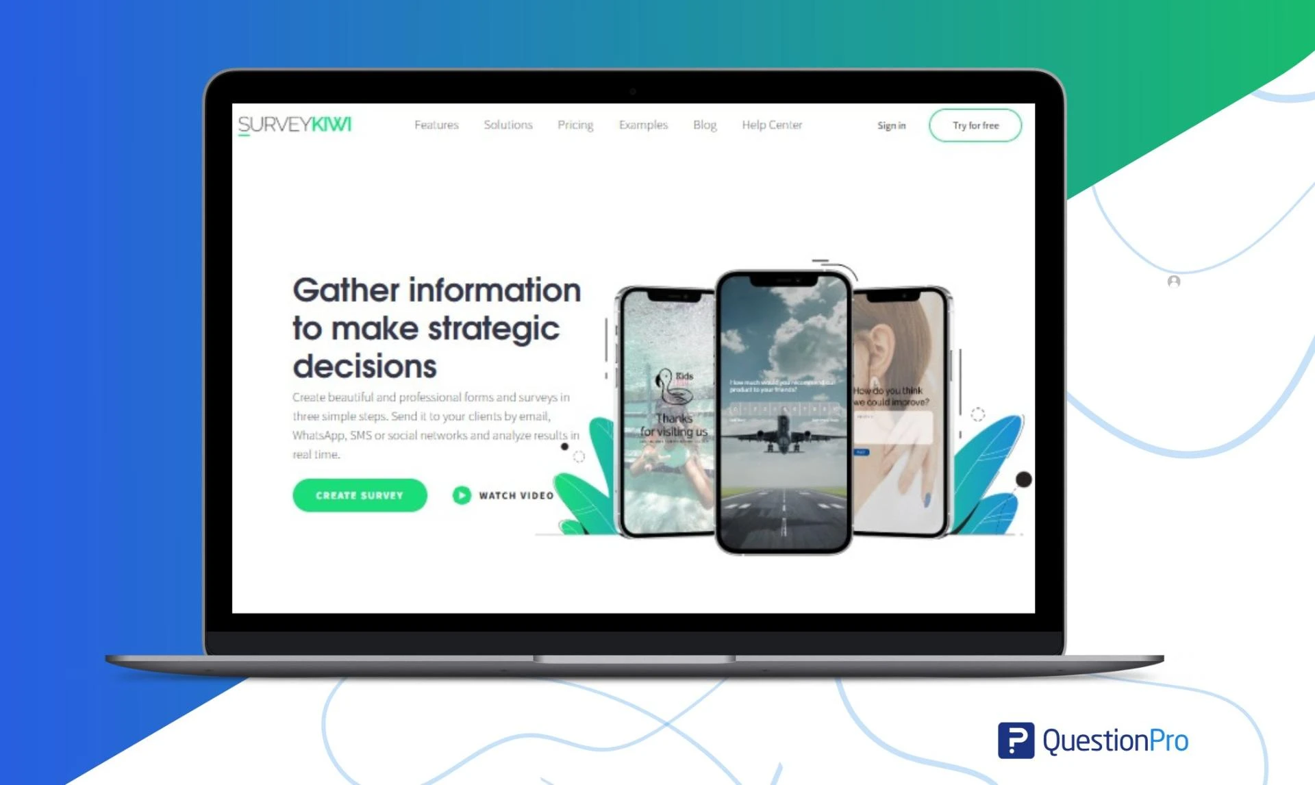 How Professional Forms Help You Capture Accurate Customer Insights