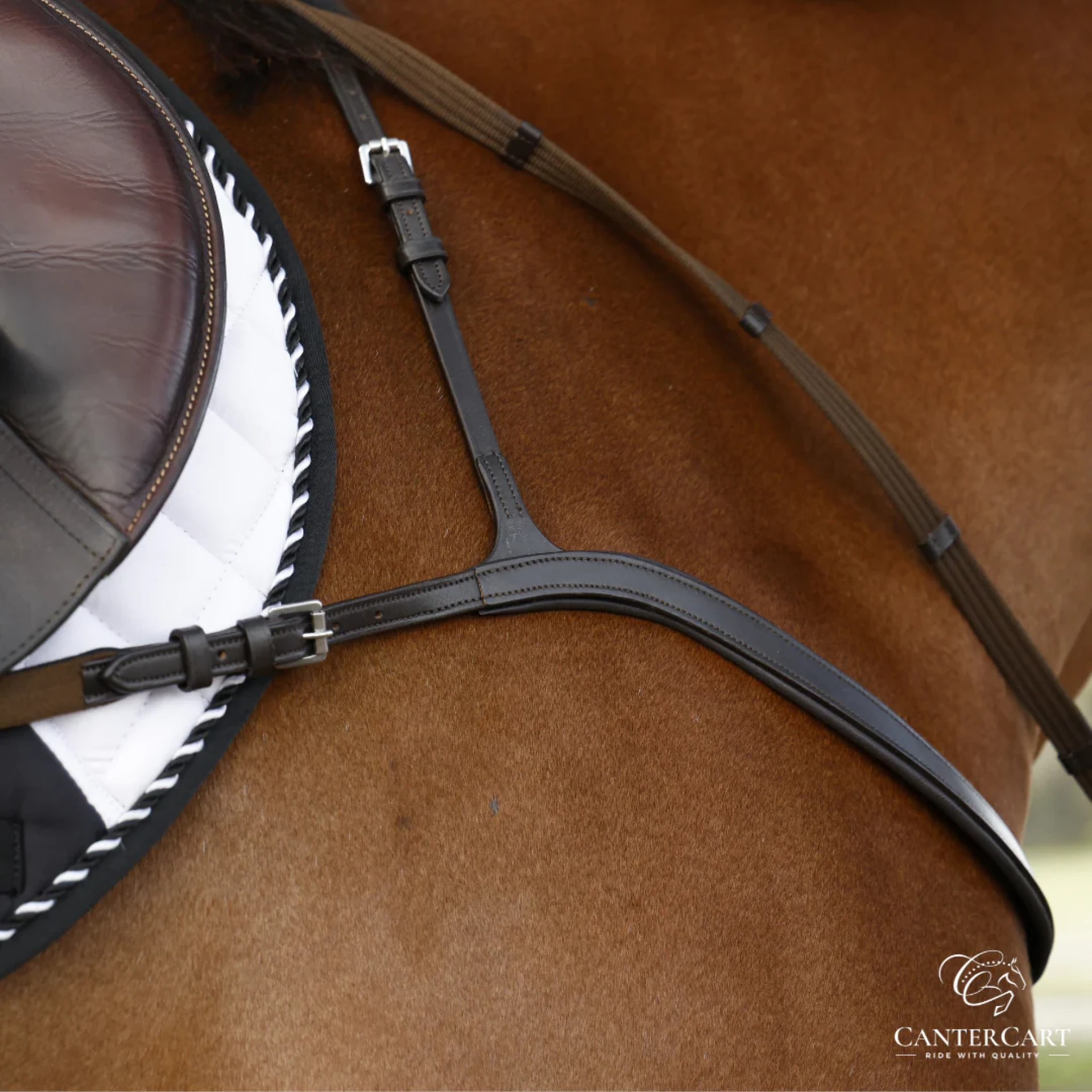 Discover the Finest Horse Gear at CanterCart – Where Quality Meets Passion
