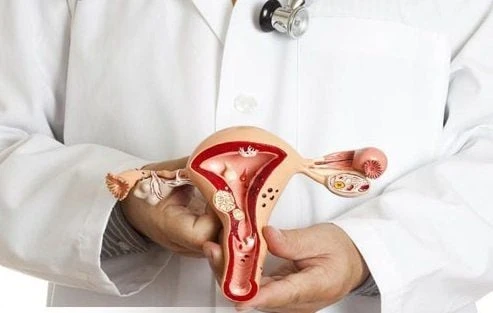 Hiểu đúng về thẩm mỹ vùng kín thông tin y khoa từ viện thẩm mỹ AndyV