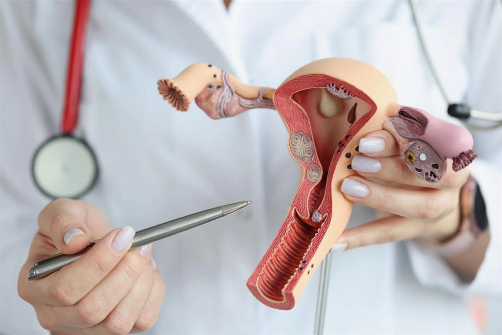 Hiểu đúng về thẩm mỹ vùng kín thông tin y khoa từ viện thẩm mỹ AndyV