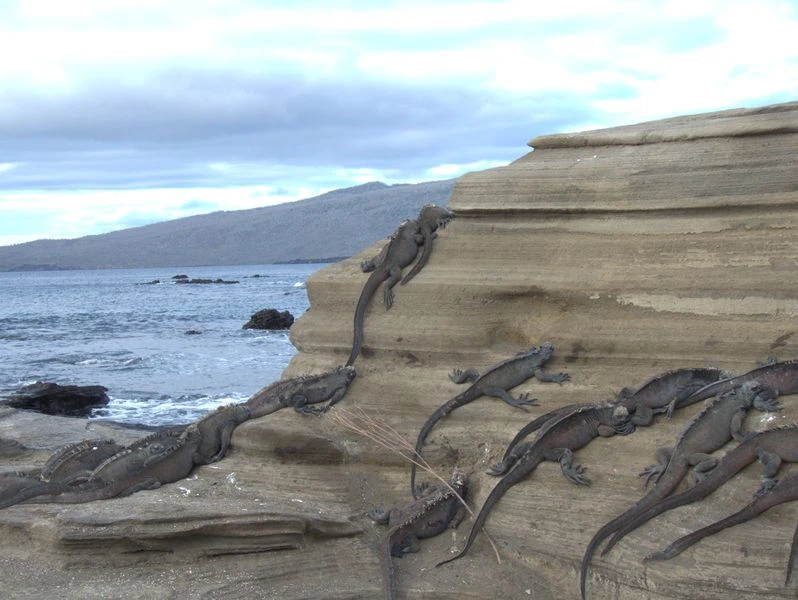 Why a Galapagos Charter Is the Only Way to Truly Experience the Islands