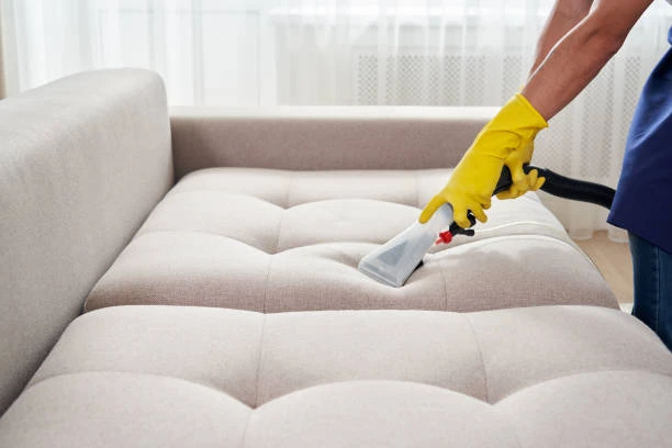 Why Upholstery Cleaning Is Essential for Pet Owners ?