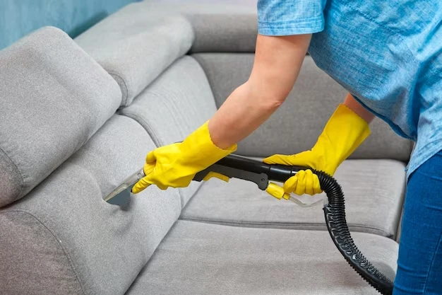 Why Upholstery Cleaning Is Essential for Pet Owners ?