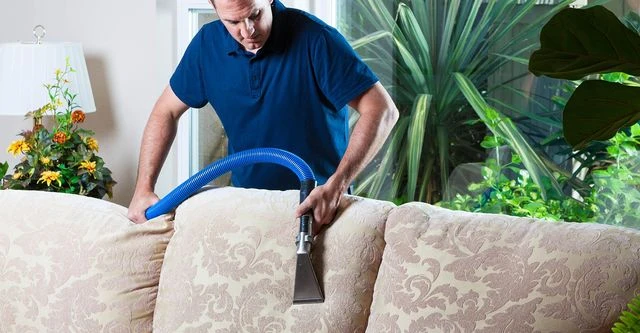 Why Upholstery Cleaning Is Essential for Pet Owners ?