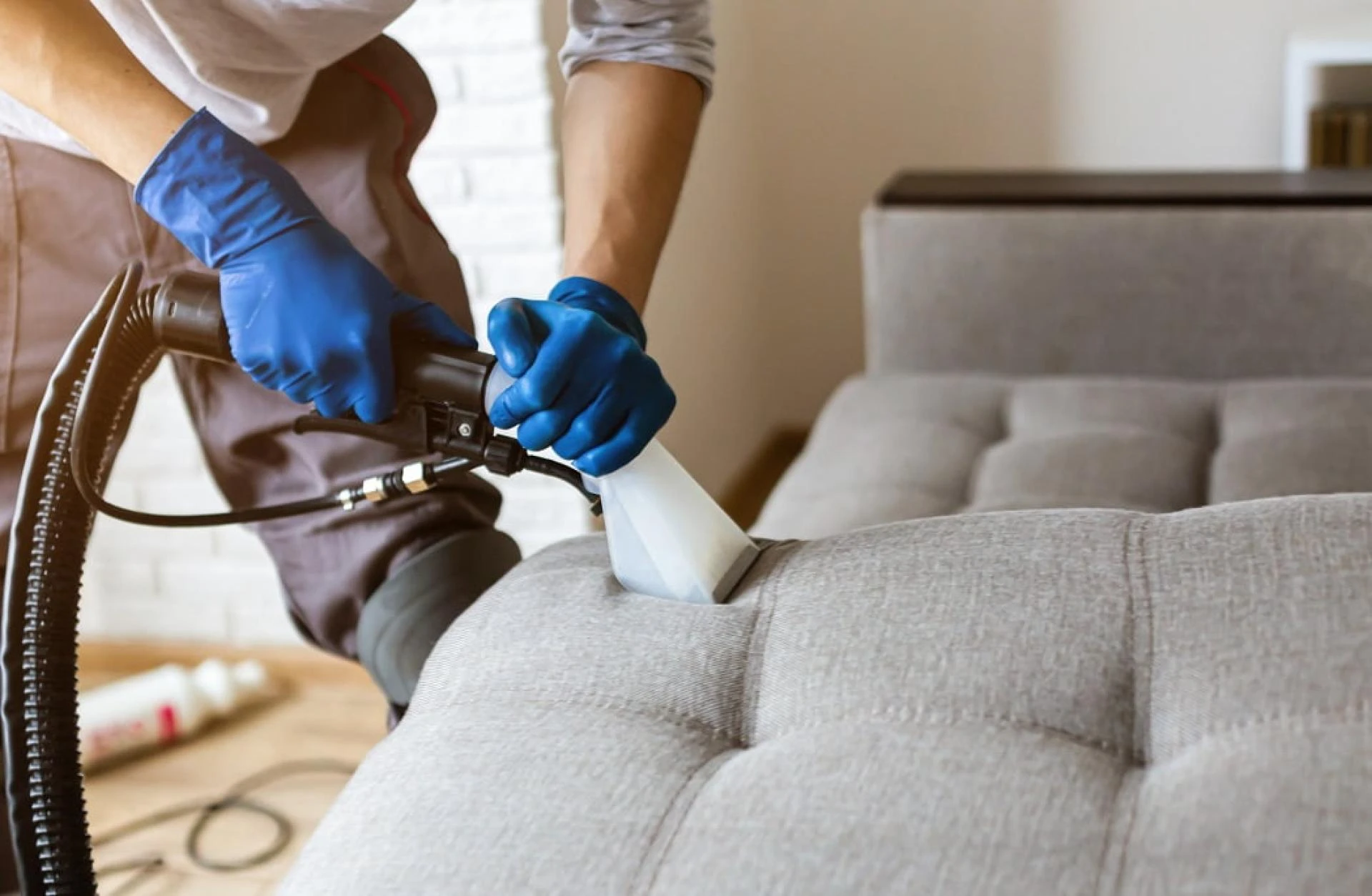 Why Upholstery Cleaning Is Essential for Pet Owners ?