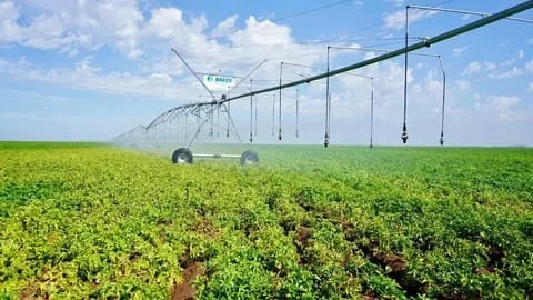 Seasonal Irrigation Tips to Keep Your Lafayette, LA Lawn Thriving All Year