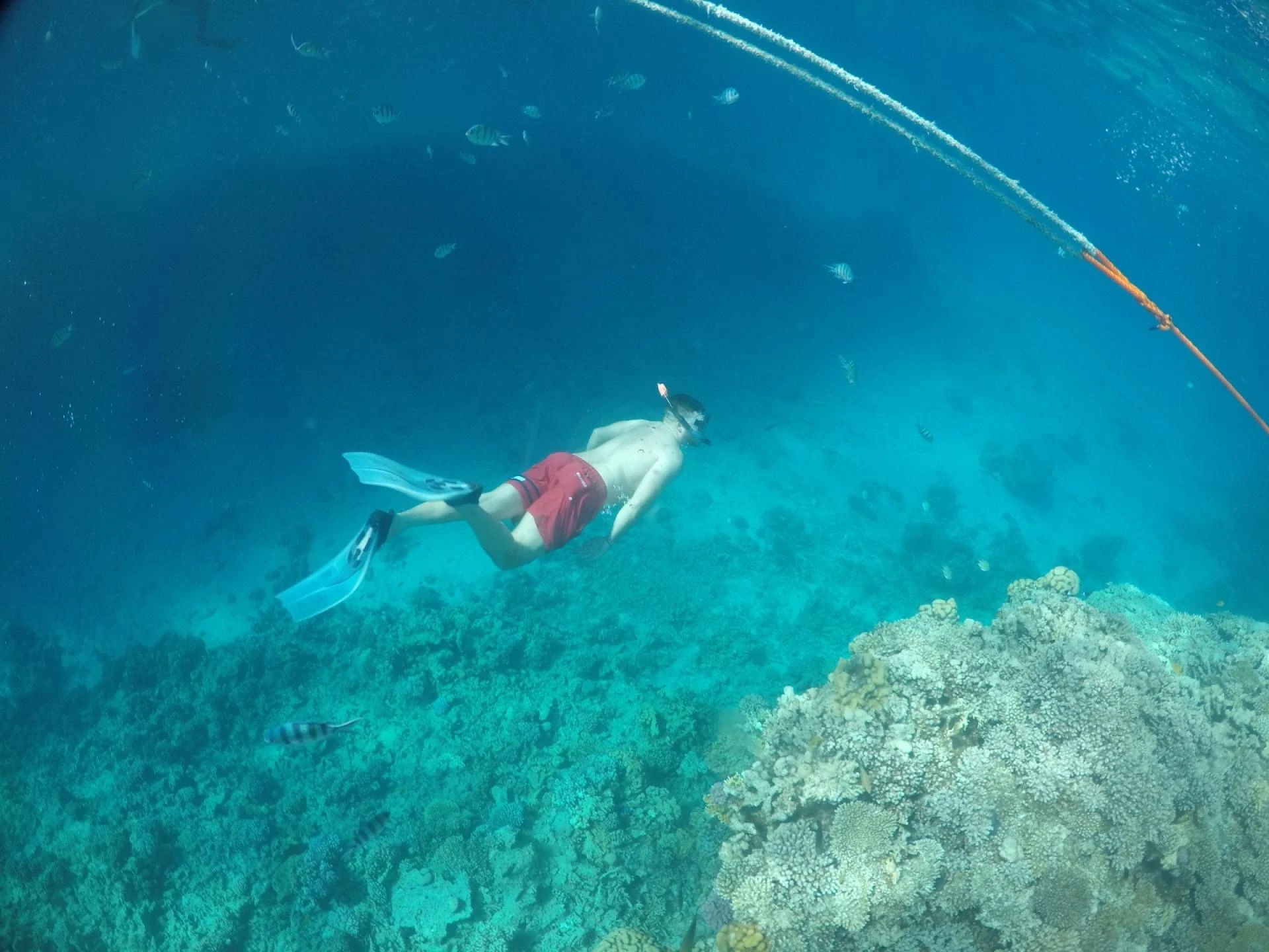 Mahmya Island Hurghada: Egypt’s Ultimate Escape into Red Sea Paradise