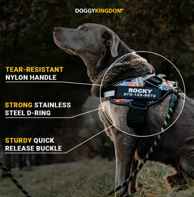 Best No Pull Dog Harness and Airline Approved Dog Backpack for Active Travelers