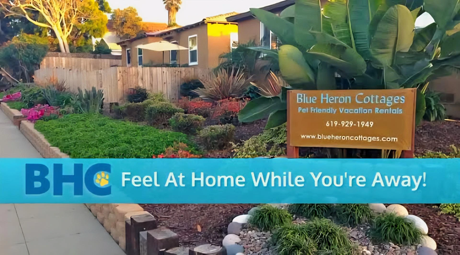 Short-Term Rentals in San Diego Pet-Friendly | Blue Heron Stays