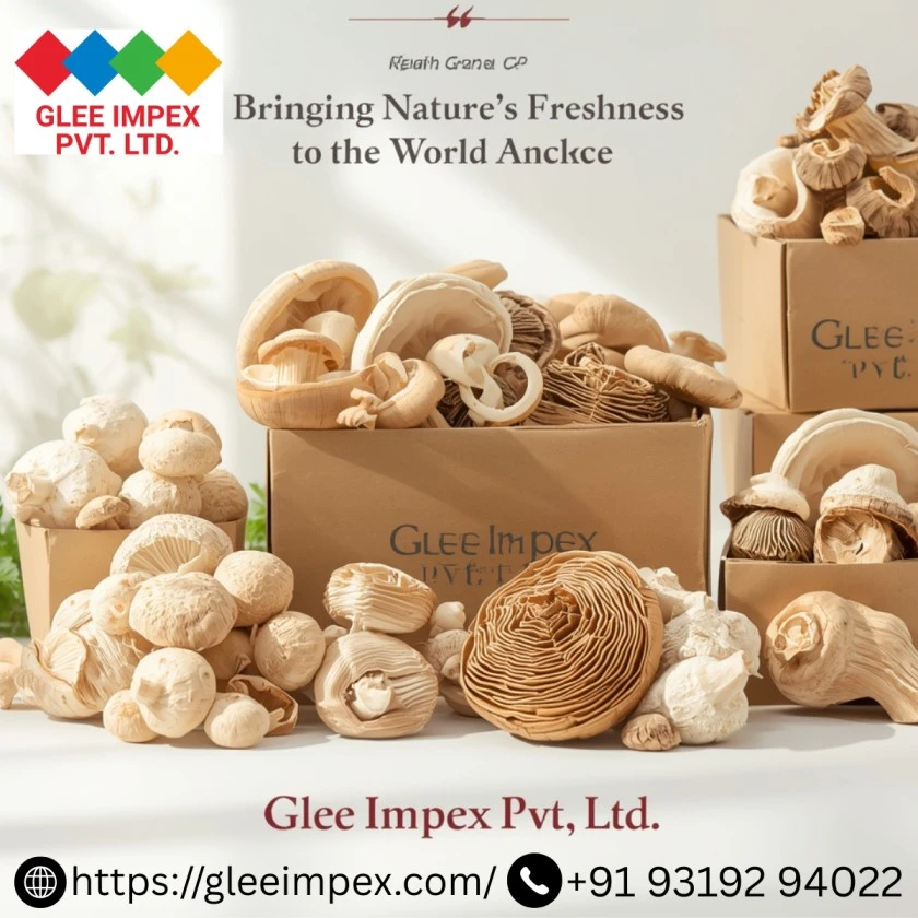 Glee Impex Pvt. Ltd. – Leading Mushroom Exporter in India | Delivering Freshness, Quality & Global Excellence