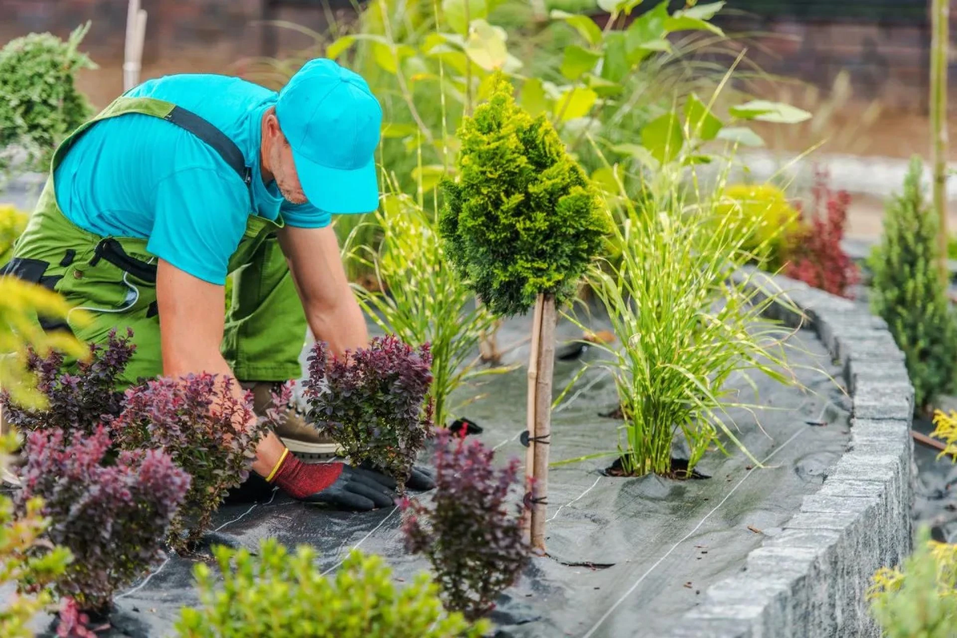 Seasonal Landscaping in Buffalo NY: Keeping Your Yard Beautiful Year-Round.