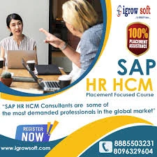 What is the use of Organizational Management in SAP HR?