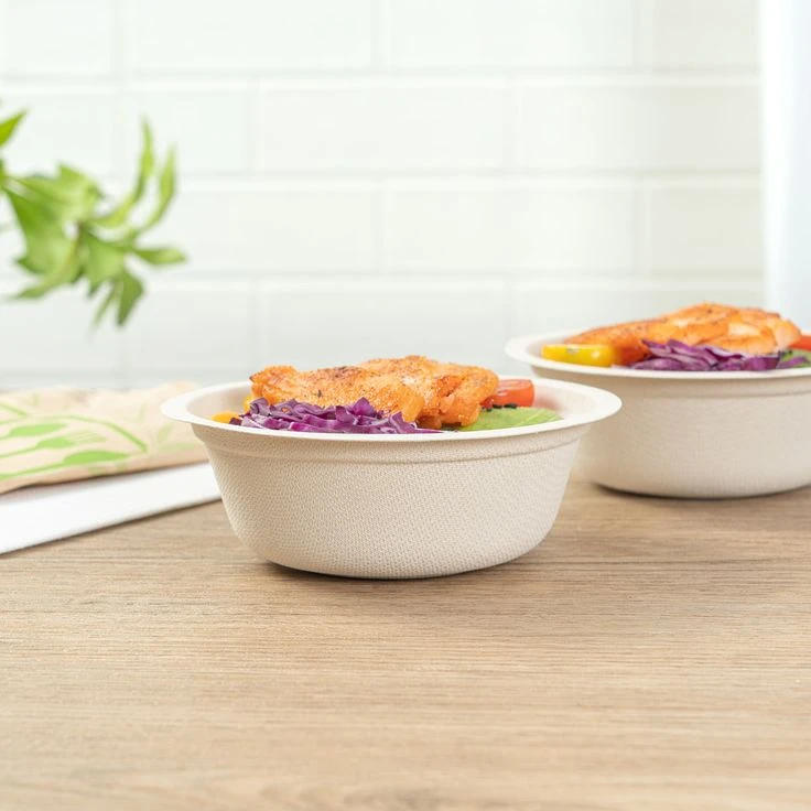 Why Sugarcane Bagasse Bowls Are Winning the Global Takeout Game — A Deep Dive into Bioleader’s Eco Revolution