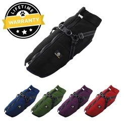 Harnesses, Collars and Leashes: The Ultimate Guide to Comfort, Control, and Style for Your Dog