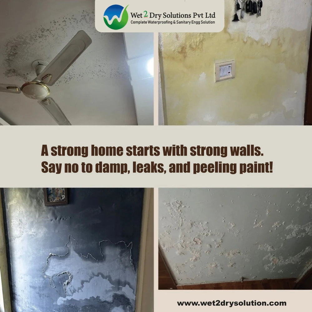 Why Professional Waterproofing Services Are Essential for Every Indian Home