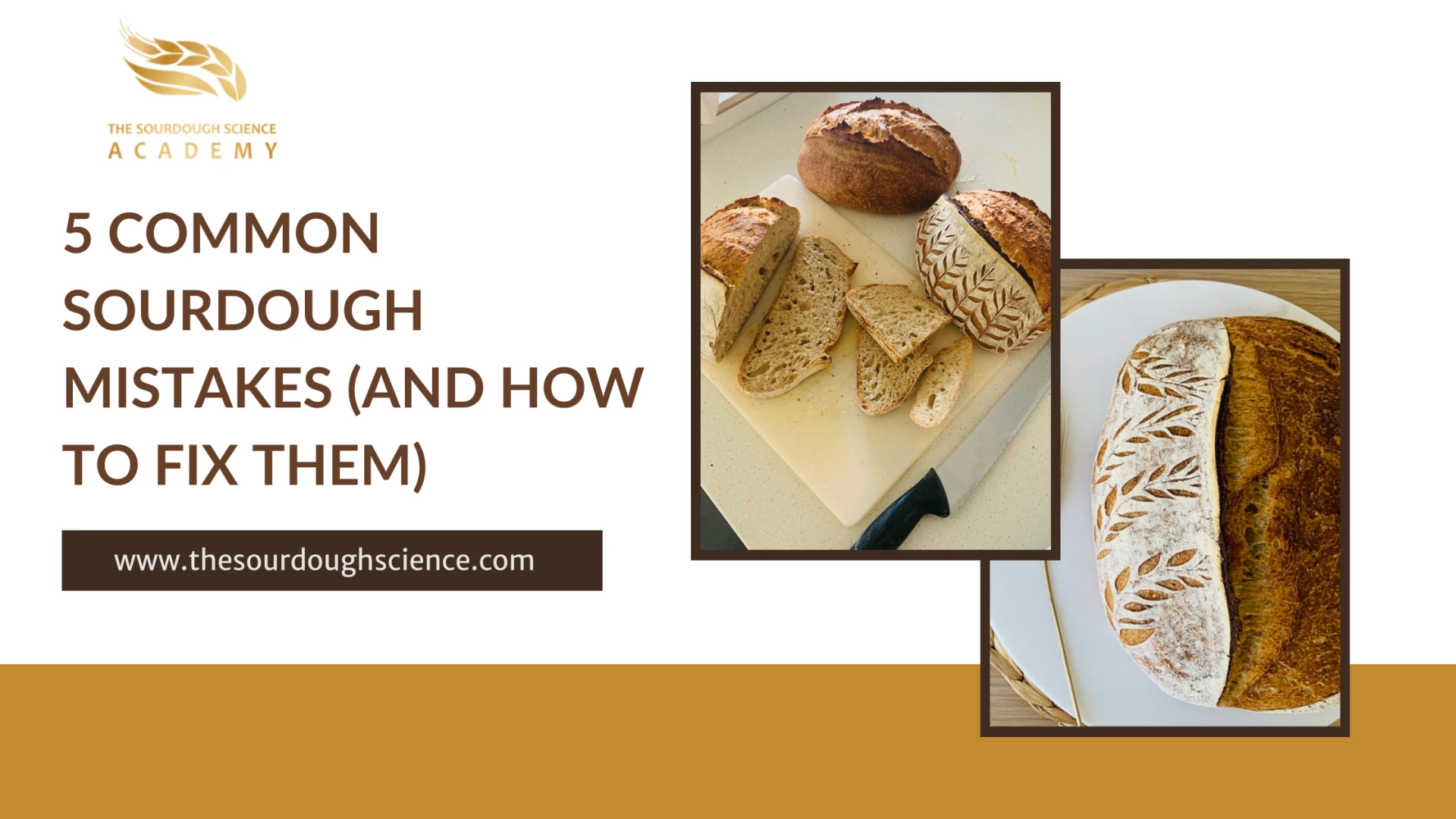 5 Common Sourdough Mistakes (and How to Fix Them)