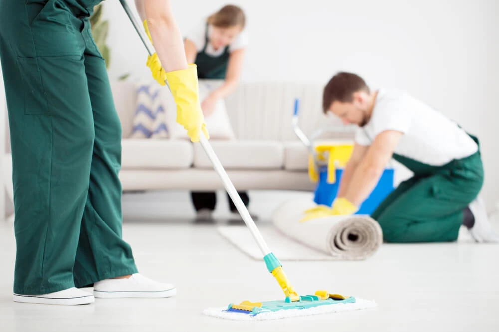 Affordable Upholstery Cleaning Melbourne: Get Quality Service on a Budget !