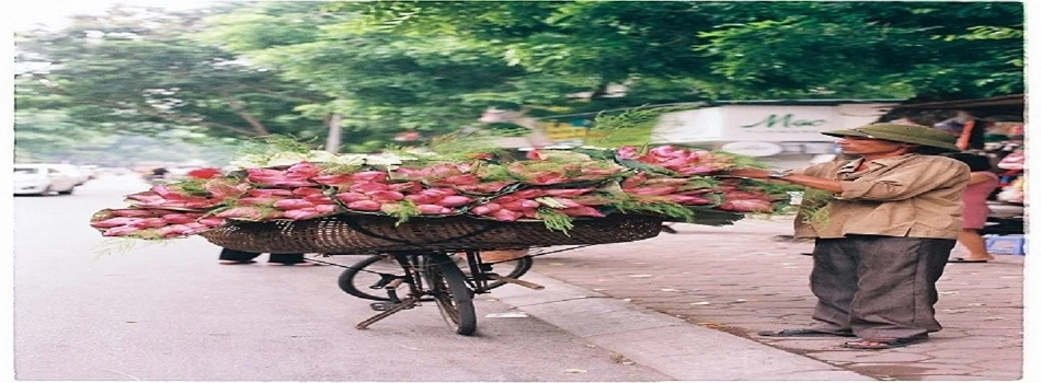 Exploring the Essence of Modern Lifestyle Brand Culture