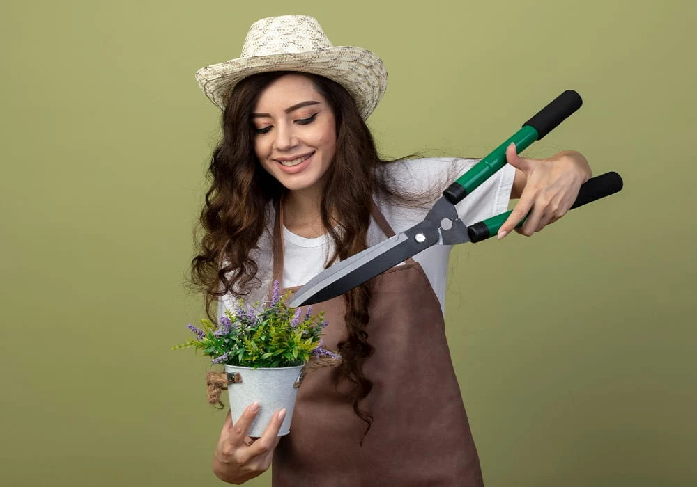 Best Home Gardening Tips for Small Spaces and Beginners
